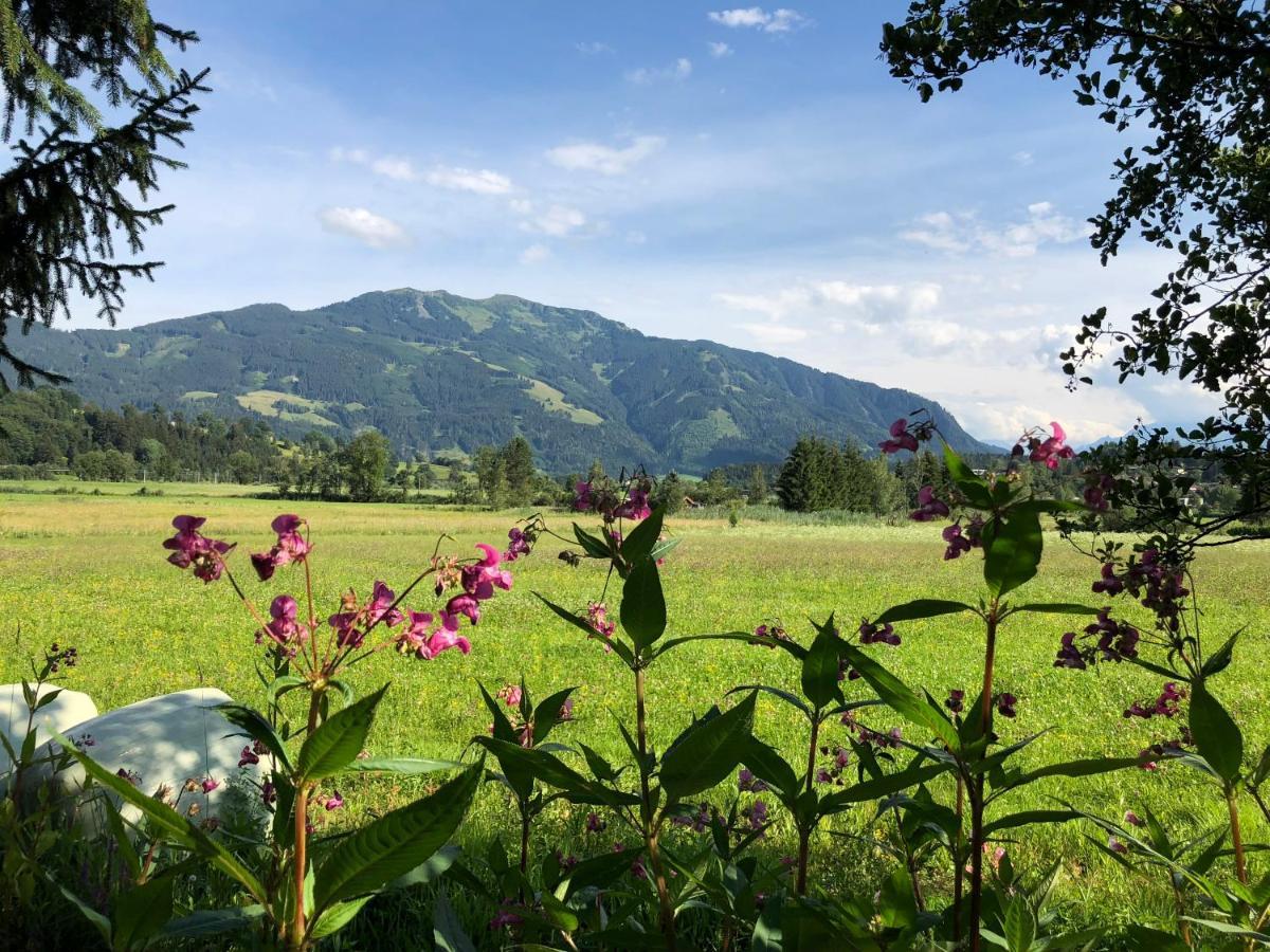 Pension Erlhof Saalfelden Екстер'єр фото