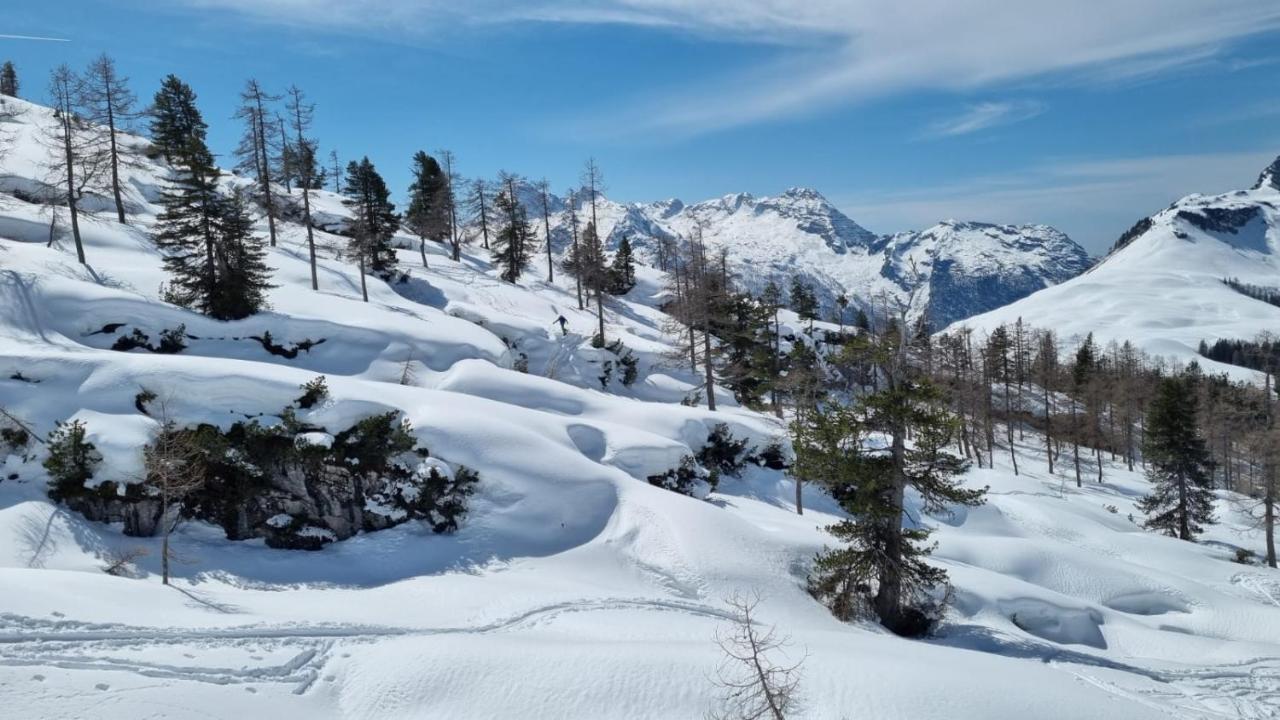 Pension Erlhof Saalfelden Екстер'єр фото