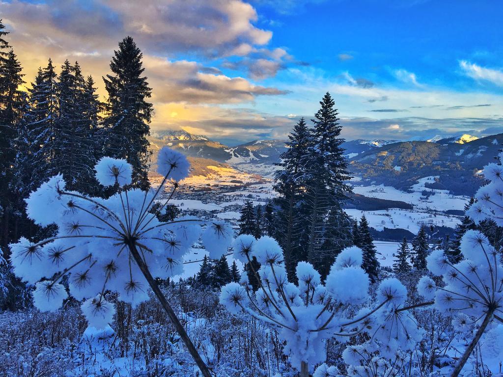 Pension Erlhof Saalfelden Екстер'єр фото