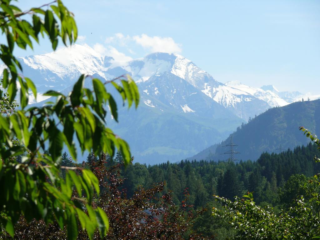 Pension Erlhof Saalfelden Номер фото